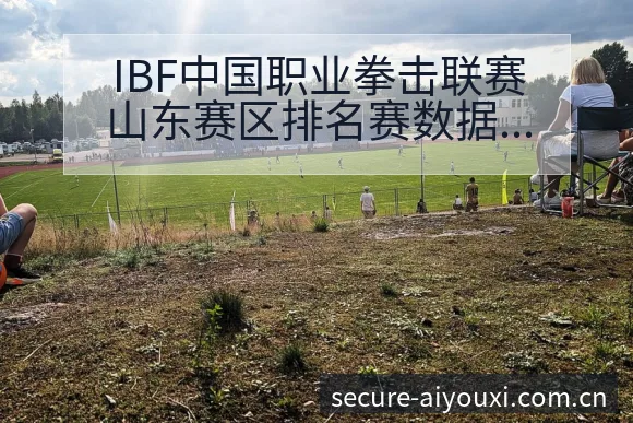 IBF中国职业拳击联赛山东赛区排名赛数据对比与阵容影响 - 爱游戏